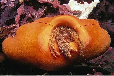 《街头霸王6》“卢克”新招式演示短片 打击感十足