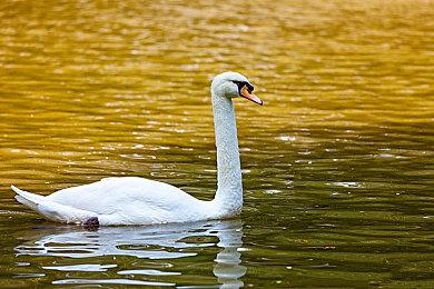 国产虚幻5单机动作游戏《风起洛阳》已停止开发 项目组均已离职